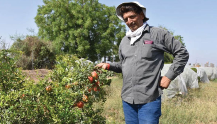 kamlesh left government job to be a farmer earns 16 lakh