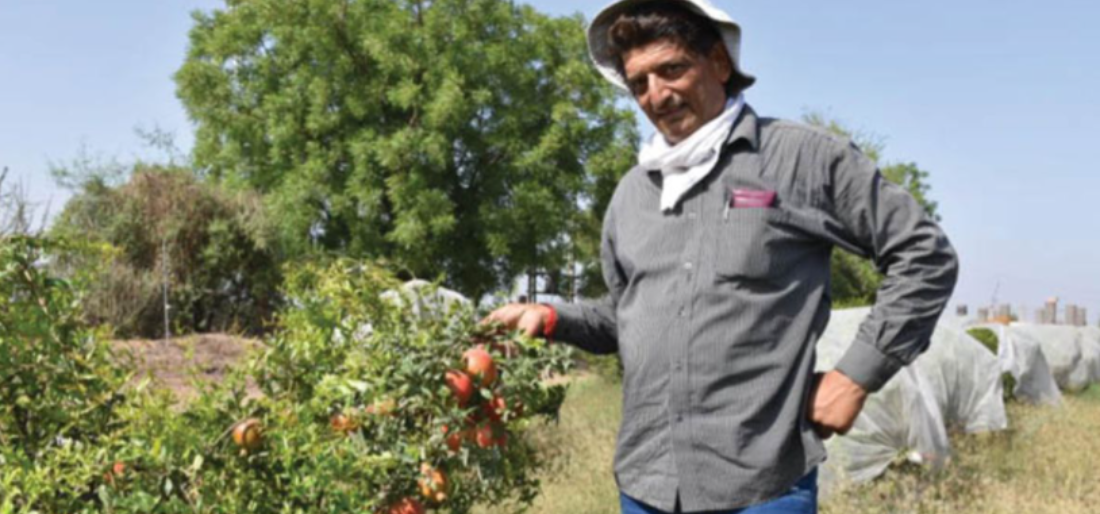 kamlesh left government job to be a farmer earns 16 lakh