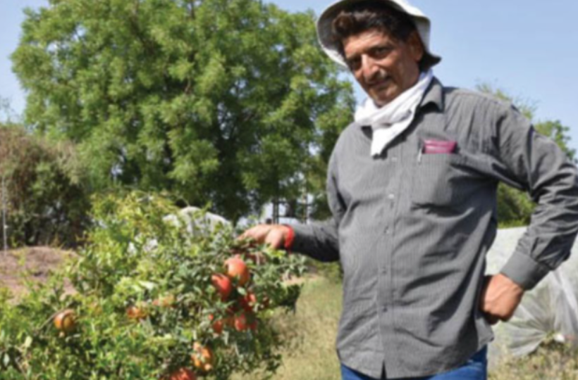 kamlesh left government job to be a farmer earns 16 lakh