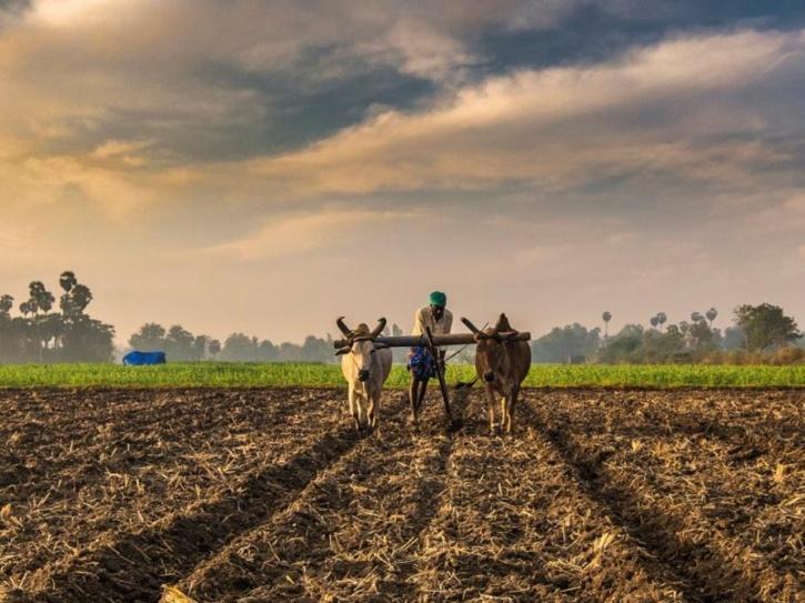 kamlesh left government job to be a farmer earns 16 lakh