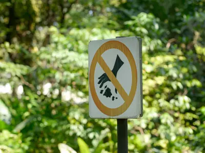 no-littering sign