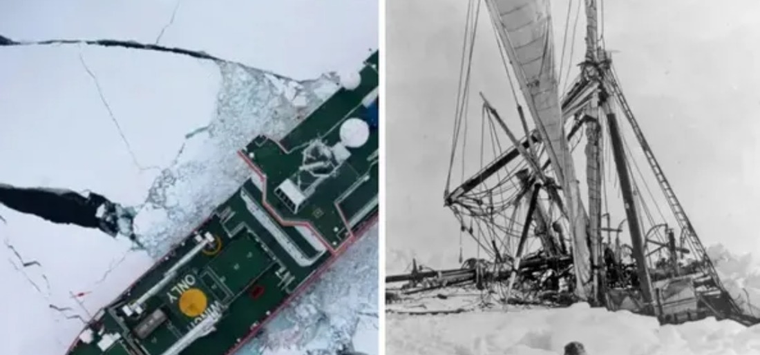Ship SA Agulhas II Gets Stuck In Ice While Searching For
