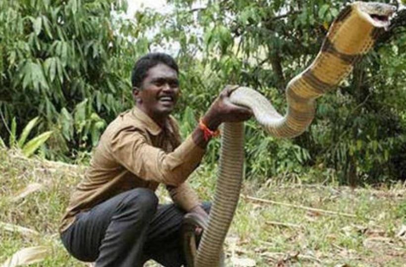 Snake Rescuer Vava Suresh Bitten By Cobra Hospitalised