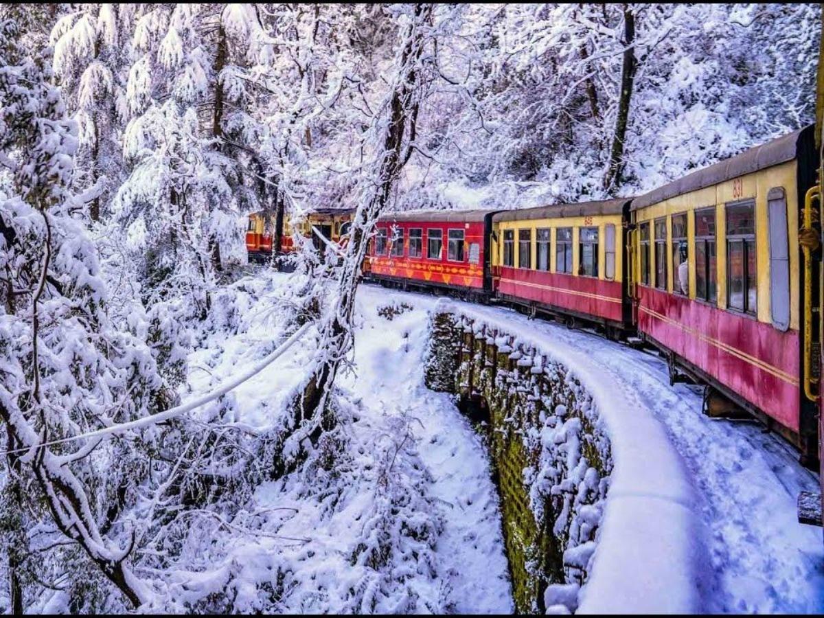 Trains Run In -2 Degrees Temperature In Shimla, Tourists Rush For Ride  Through Snow-Clad Hills