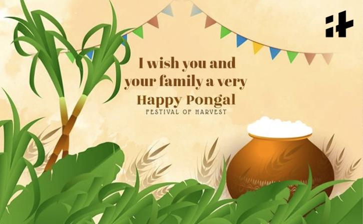 Happy Pongal 2022 image