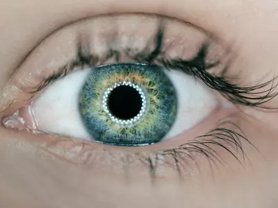 An AI-Powered Eye Scan Can Accurately Detect Heart Disease Risk, Finds Study