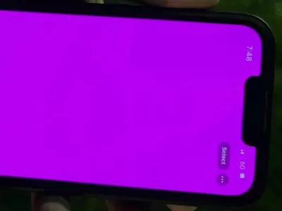 iphone 13 pink scren