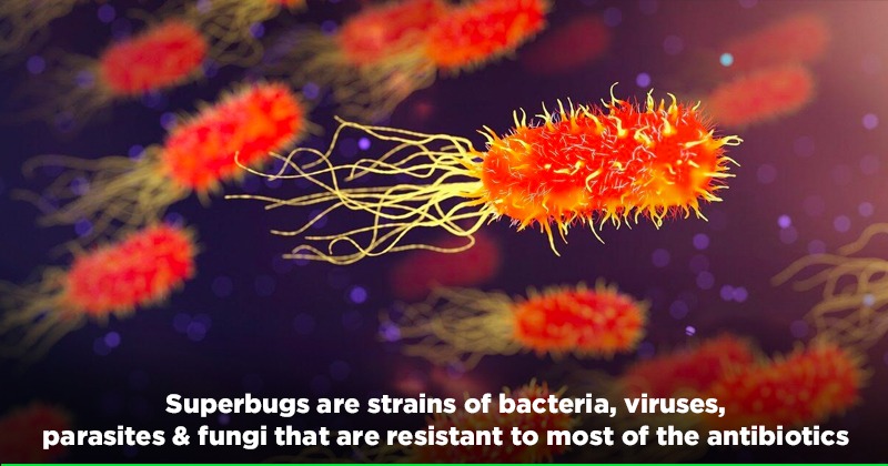 Another Global Health Crisis? Superbug Infections Killed 1.2 Million ...