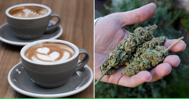 Coffee & Beer May Not Survive Climate Change But Weed & Heroin Would