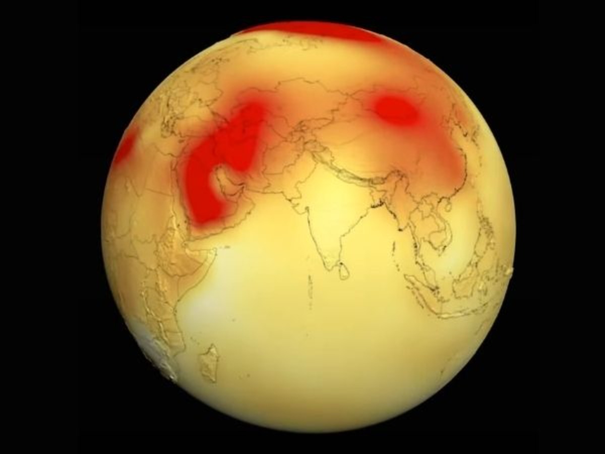 Explained: What The Union Budget Says On Environment And Climate Change