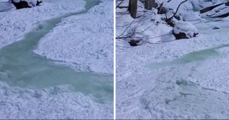 Watch: Stream In Canada Quickly Disappears Beneath Ice In Viral Video