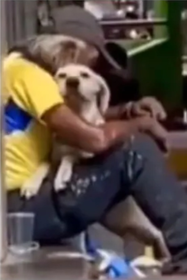 dog-hugs-man