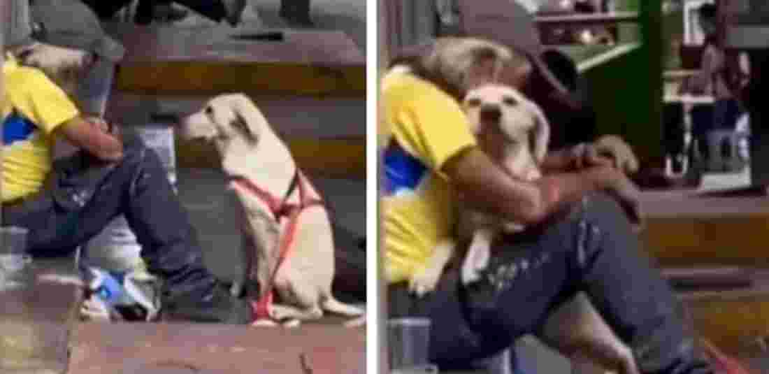 Dog Hugs Homeless Man In Video