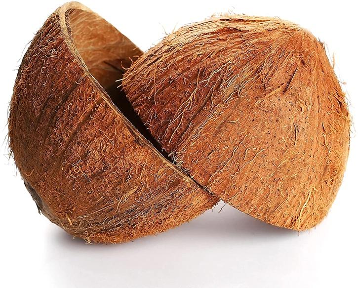 Coconut Shell 