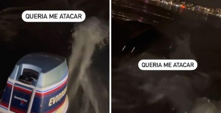 A fisherman has had a terrifying experience as he desperately tried to flee after being chased by a haunting sea creature with glowing eyes. Fisherman chased by unknown sea creature.