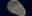coratia fingerprint island 