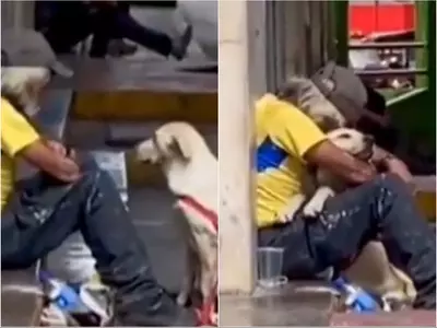dog hugs homeless man video 