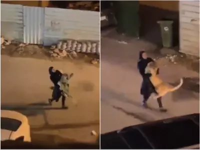 kuwait woman casually roams with lion in her arms 
