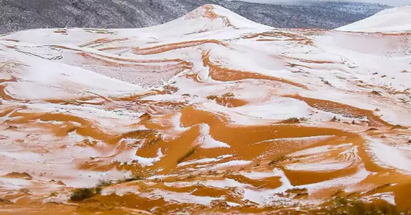 Rare Snowfall In Sahara Desert