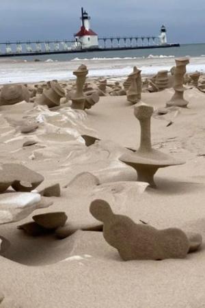 These are the images of weird structures that sprung up on the beaches of Lake Michigan in the US. 