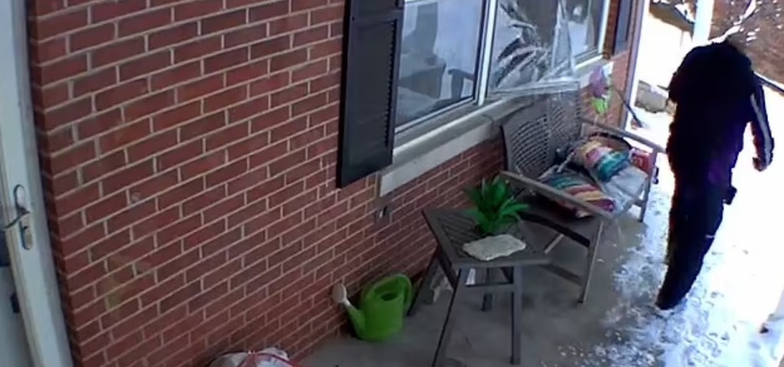 Dog Smashes Through Window Scares Delivery Guy