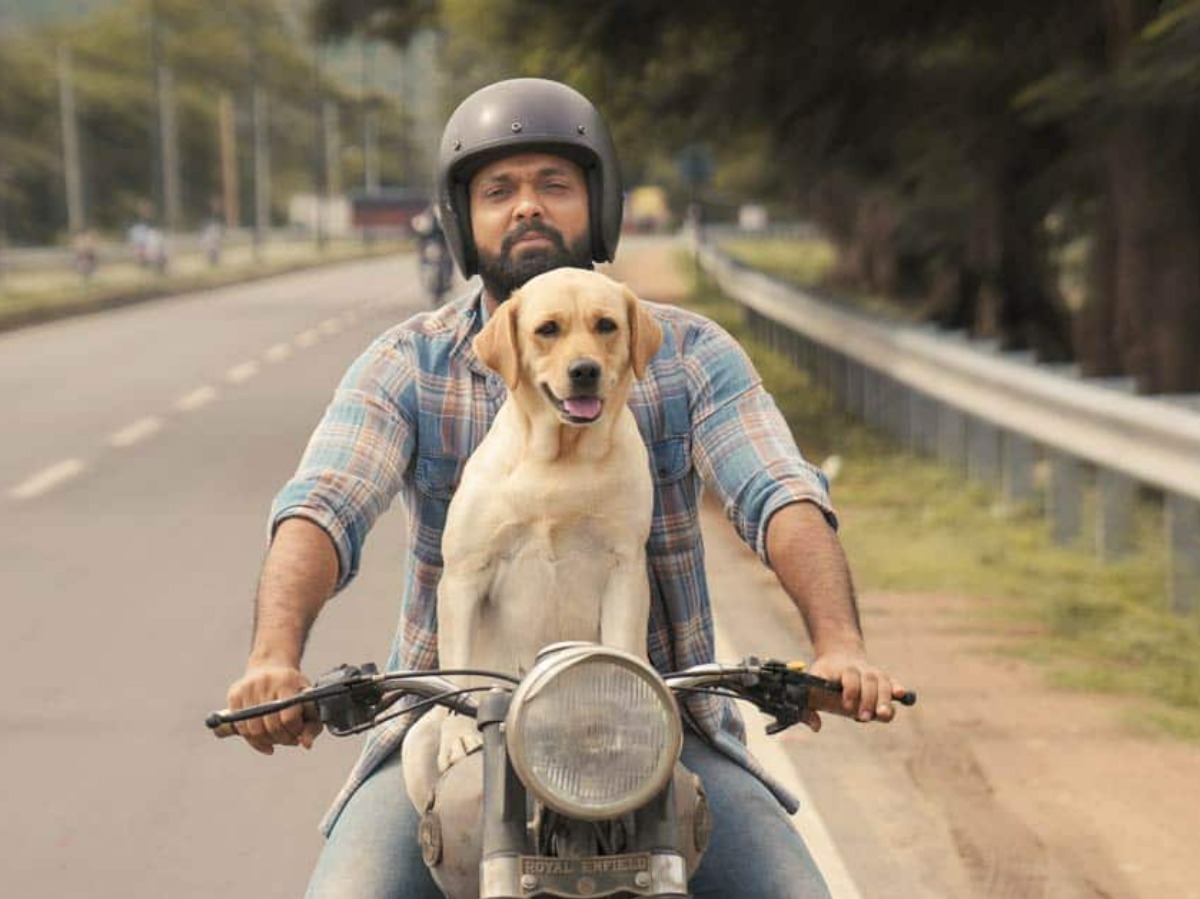 10 Movies That Gave Viewers The Best Cinematic Experience Both On Big