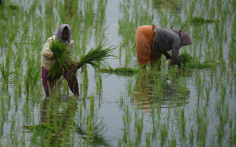 Explained How Is Monsoon Affecting India’s Economy