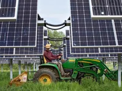 Researchers Test Growing Broccoli Under Solar Panels To Make It More Feasible For Farmers