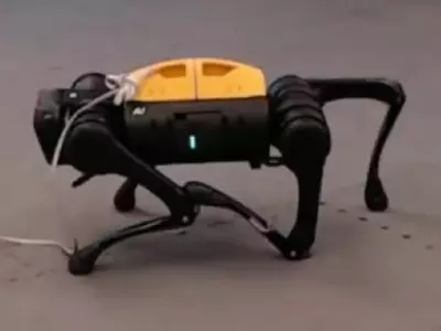 This Robot Dog Taught Itself How To Walk From Scratch