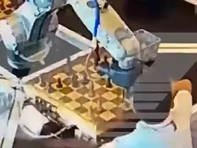 Chess Robot Grabs Finger Of 9-Year OId Chess Prodigy After He Made His Move