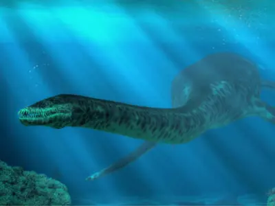Loch Ness Monster Could Have Been Real, Say UK Experts After Strange Fossil Discovery