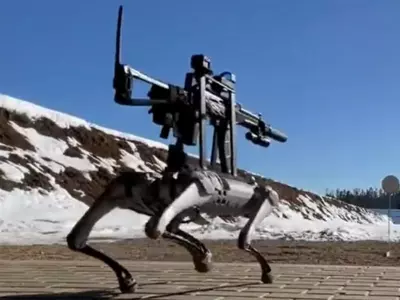 Not Your Average Robo Dog: This One Has A Machine Gun Strapped To Its Back