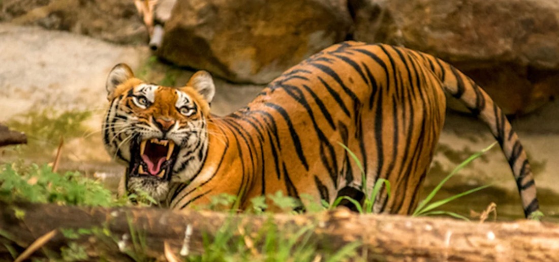 Trending stories on Indian Lifestyle, Culture, Relationships, Food