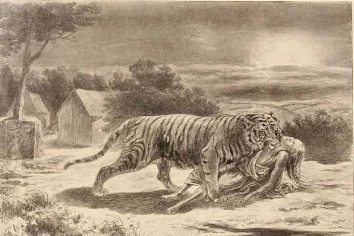 The Story Of Champawat Maneater, An Injured Tigress That Went On To