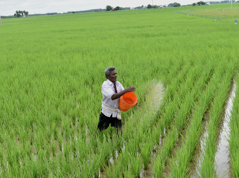 Explained: How Is Monsoon Affecting India’s Economy