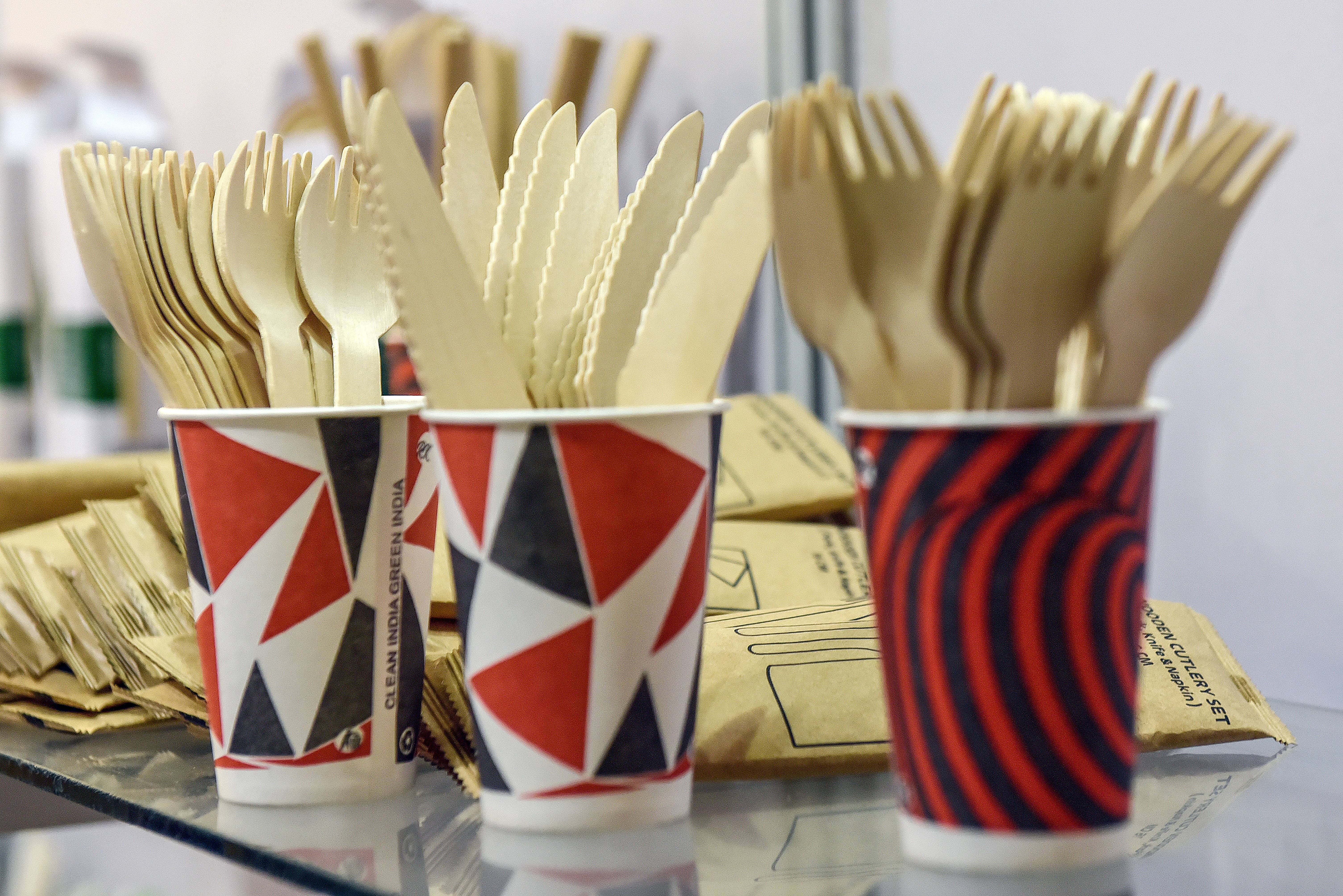 Single-Use Plastic Ban