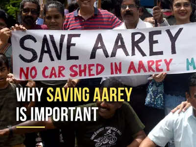  Why Saving Aarey Is Important