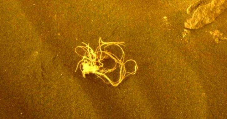 NASA Rover Spots Strange Space-Spaghetti On Martian Surface
