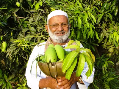  UP’s banana king who used tissue culture to earn Rs 48 lakh a year, India’s 77th Republic Day witnessed the Union Government conferring the fourth highest civilian award, the Padma Shri, for the extraordinary farming.
