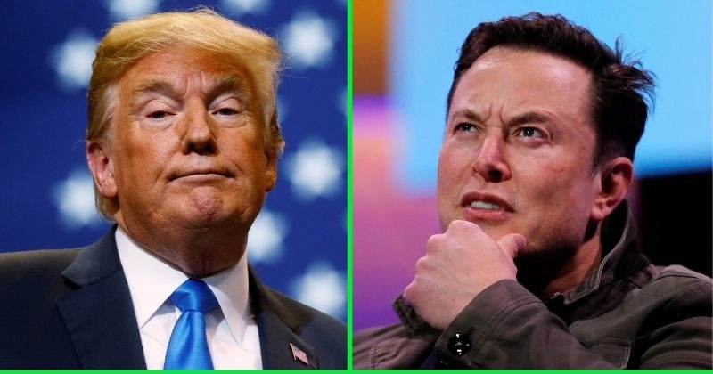 Elon Musk Sank Donald Trumps Twitter Comeback And Now Theyre Feuding 