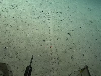 mysterious holes Atlantic Ocean