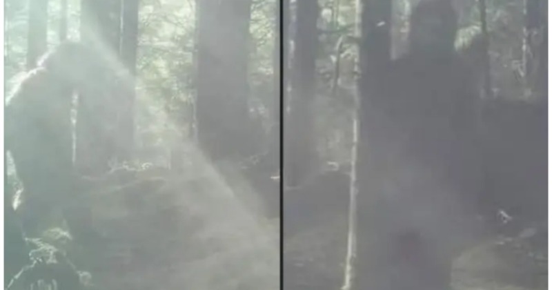 Bigfoot Evidence From Mount Si Snoqualmie Valley