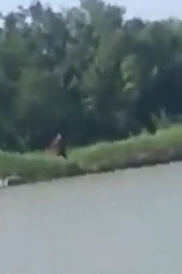 Half Man Half Dog Creature Baffles Fishermen