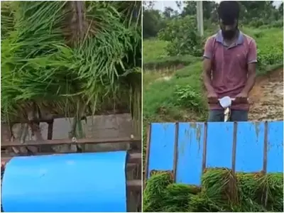Telangana youth creates paddy plantation machine 
