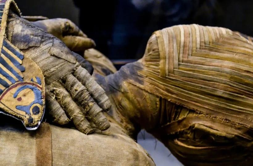 mummification process removal of brain