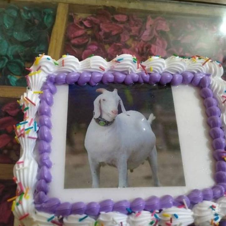 Bakra Cake 