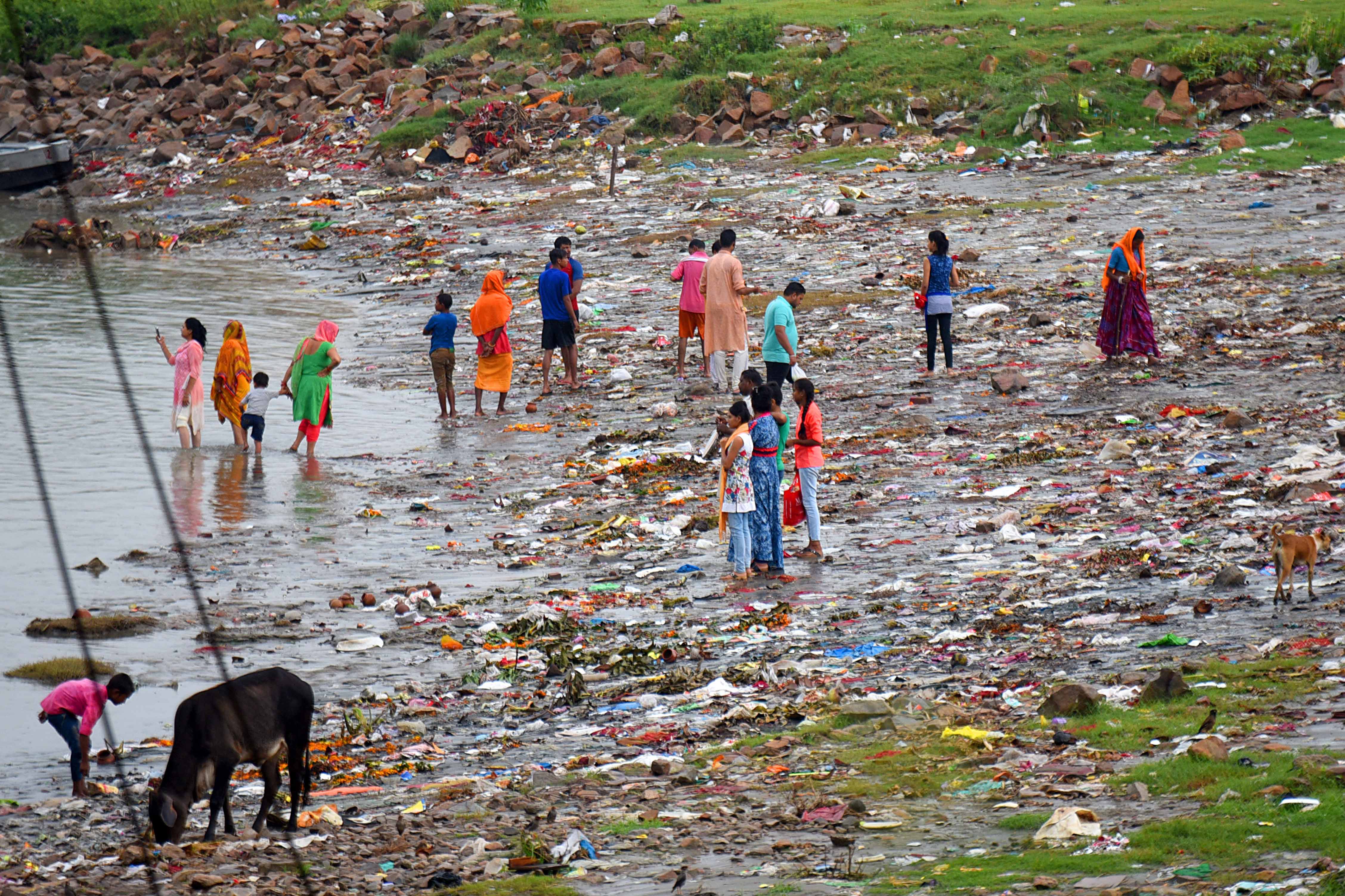 Explained What Are Carbon Bombs And How Are They Contributing To