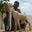 World longest ear goat
