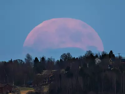 The World Will Witness Strawberry Moon On June 14: All You Need To Know