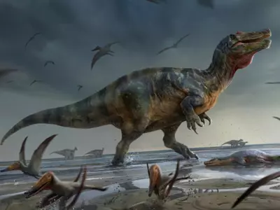 Fossils Reveal What Could Be Europe’s Biggest Meat-Eating Dinosaur